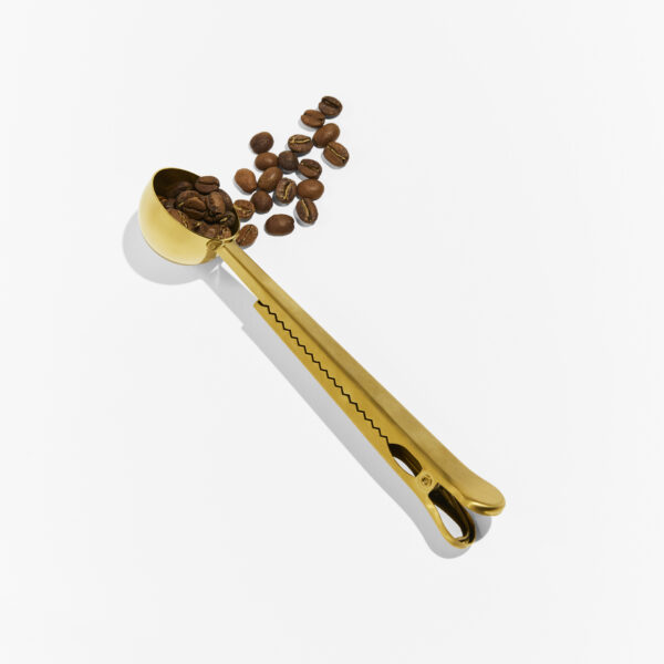 Coffee Spoon + Scoop